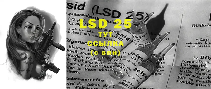 купить наркотики сайты  Камышин  MEGA как войти  LSD-25 экстази кислота 